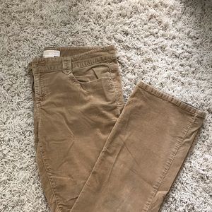 Michael Kors Pants